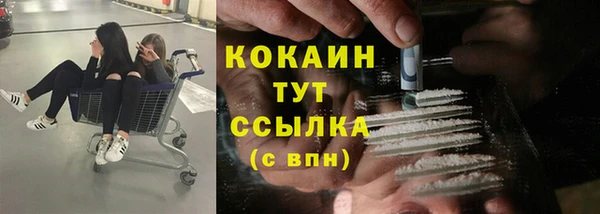 СК Инсар
