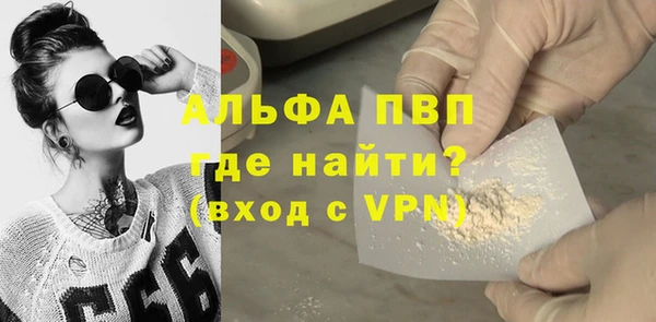 СК Инсар