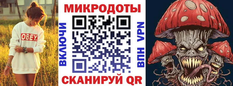 Купить закладки  Сорск  Галлюциногенные грибы мицелий 